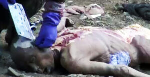 Sępy jedzące zwłoki