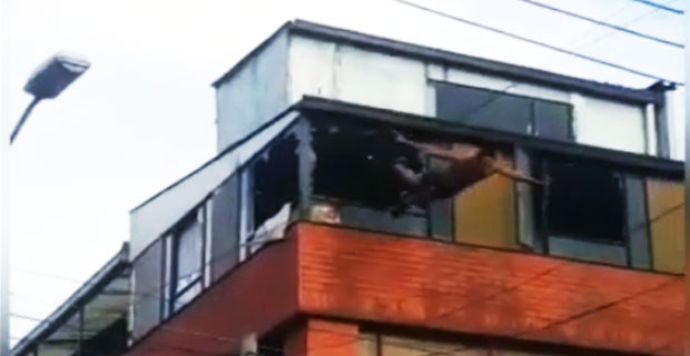 Skok na szczupaka z dobrych 14 metrów